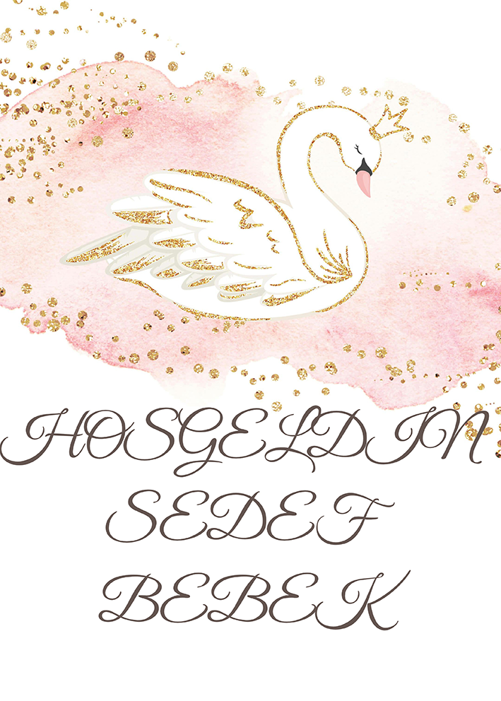 Baby Shower Karşılama Panosu (KRP0064)