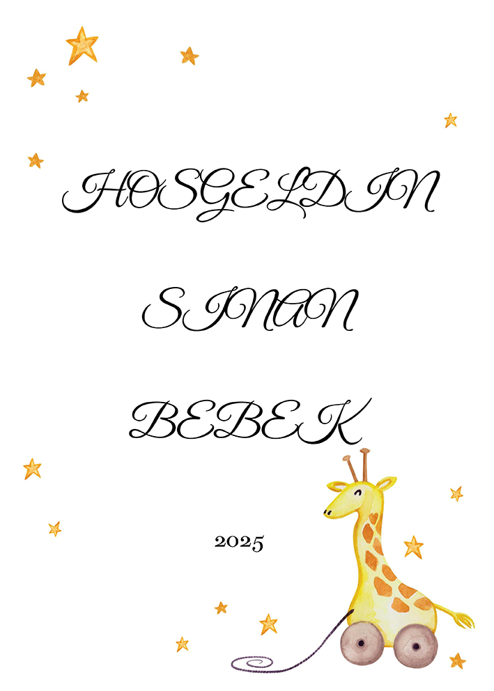 Baby Shower Karşılama Panosu (KRP0074)