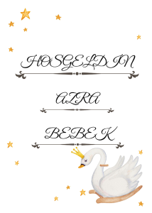 Baby Shower Karşılama Panosu (KRP0075)