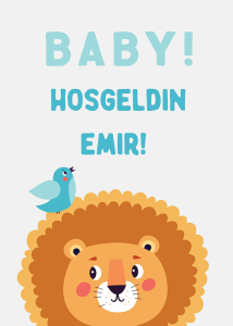 Baby Shower Karşılama Panosu (KRP0078)